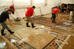 MSP Rug Cleaning